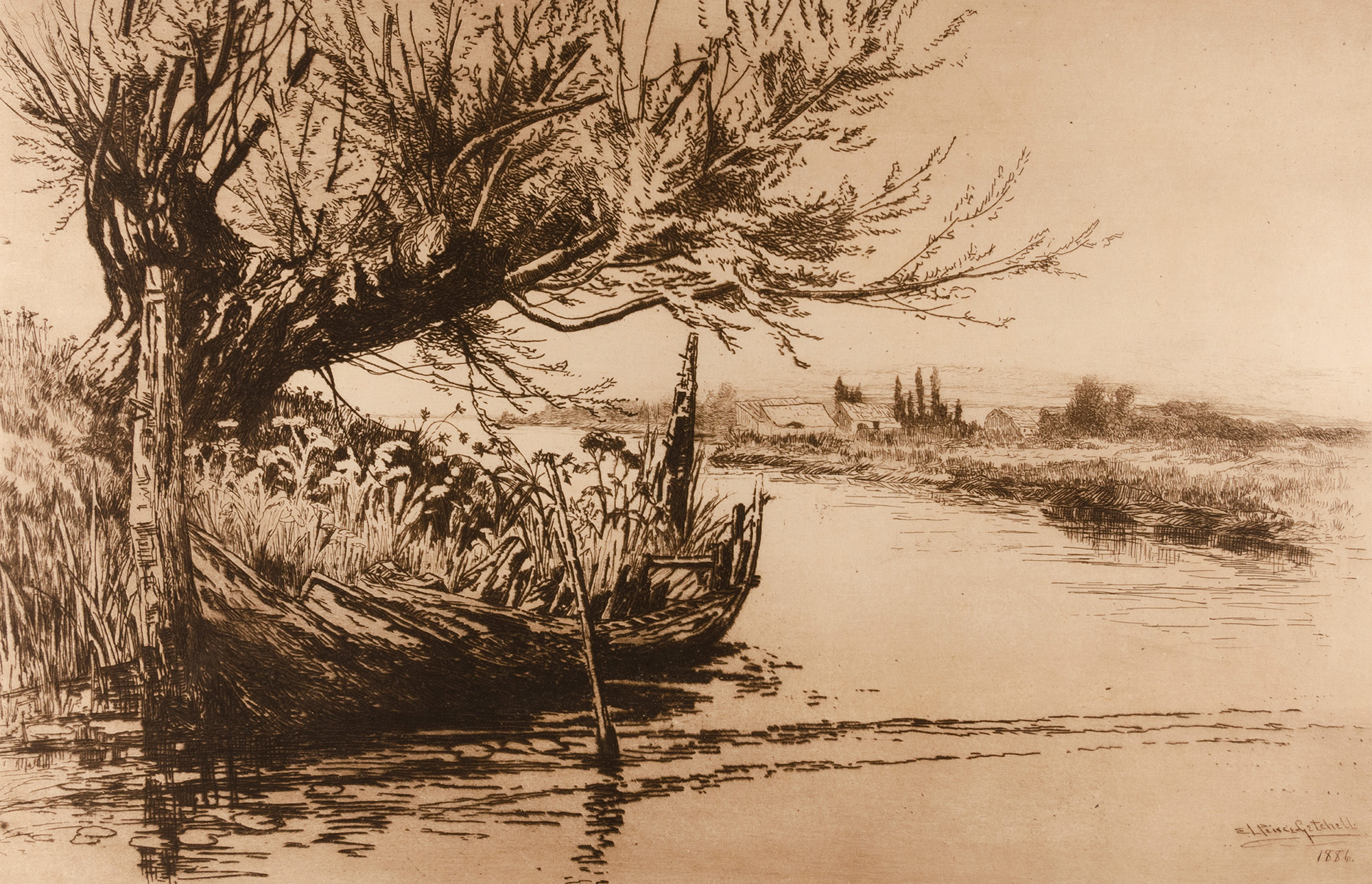 Tonal etching of pond. a tree stands at the edge of the land surrounded by tall grasses and water on three sides.