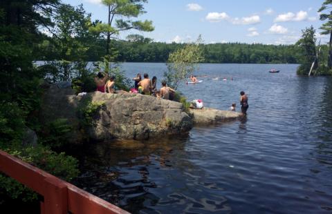 FLI attendees stand on a rock at Mendum's Pond