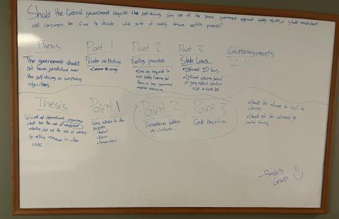 FLI whiteboard with strategy details