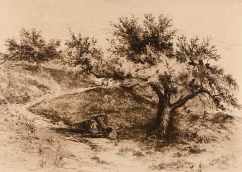 tonal etching of an apple tree in the foreground right, a winding path to the left that leads to two more apple trees in the background left.