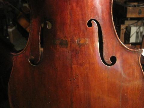 cello