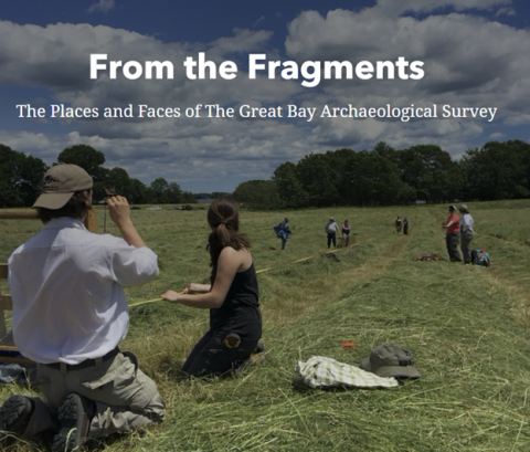 screen shot of From the Fragments website showing volunteers in field