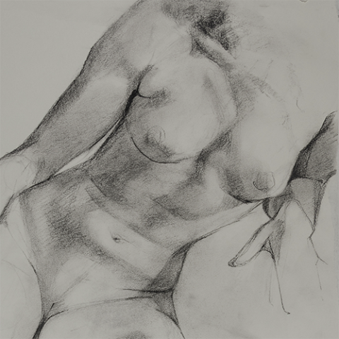 Drawing of a nude female torso