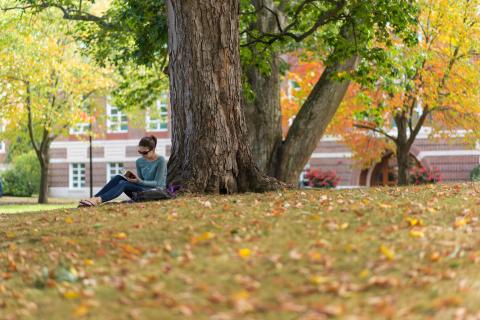 College girl sits under tree writing