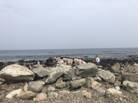 teachers explore the shore at Odiorne Point using the Homelands app
