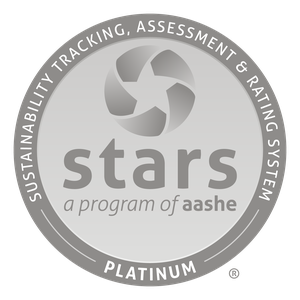 Stars Rating Badge