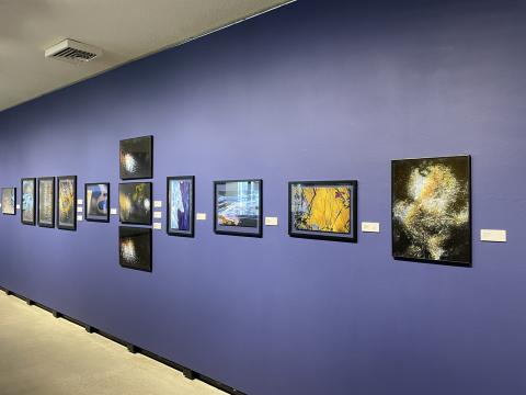 Interior of UNH Gallery of Art with works by BFA graduate Nolan Cloutier