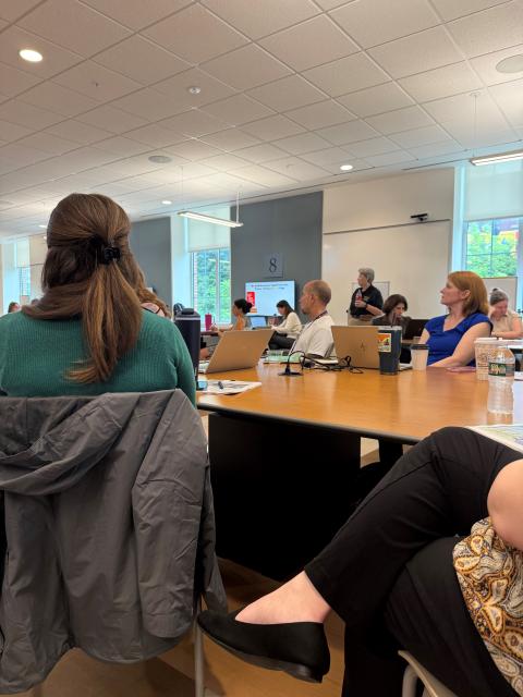 Treatment Court Training 1