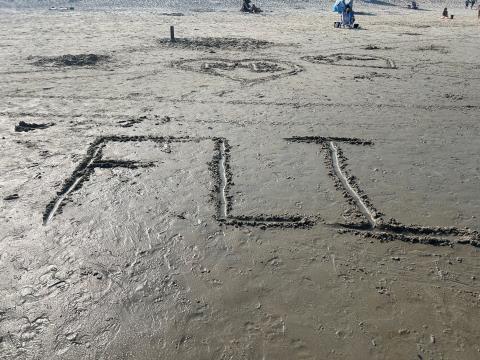 FLI Sand