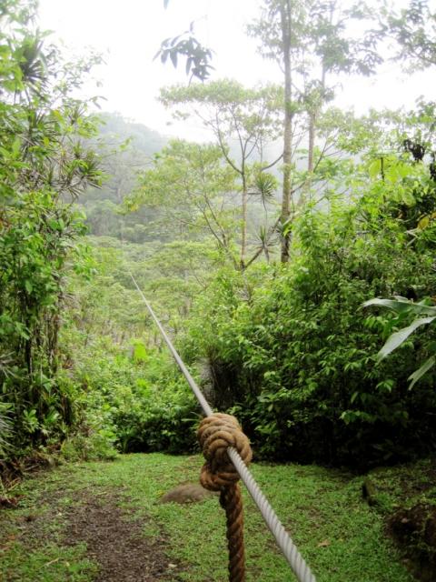 Study Abroad: Costa Rica ziplining