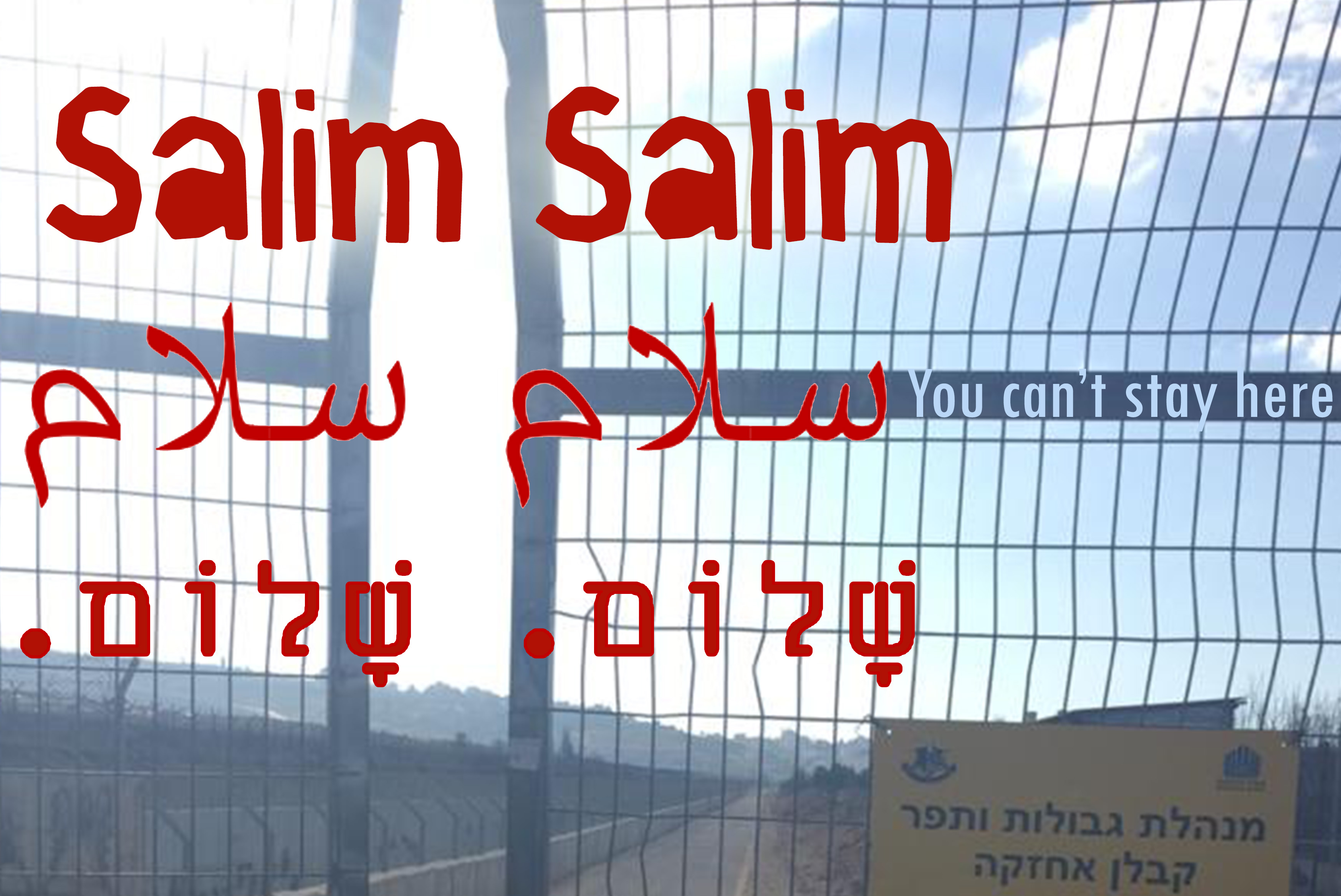 Salim Salim image.