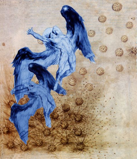 Icarus Julee Holcombe.jpg